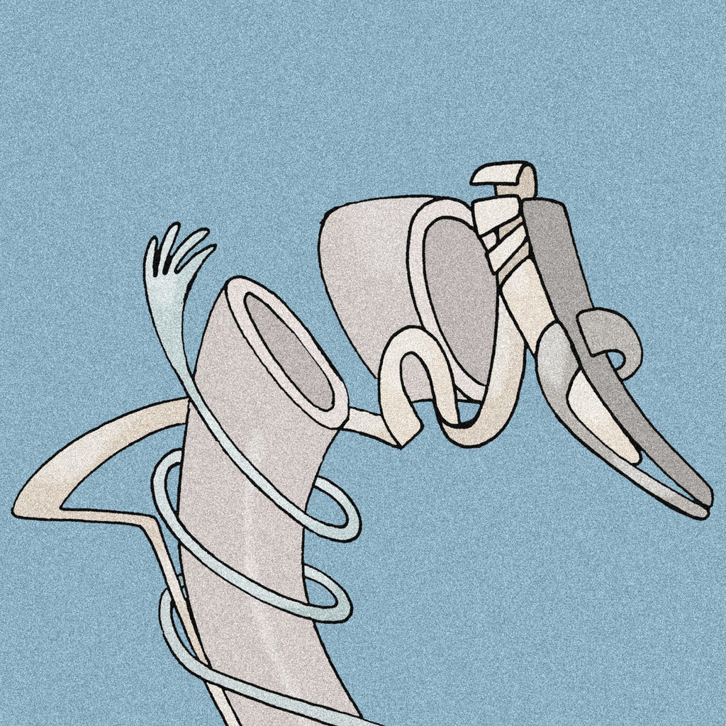 Swan